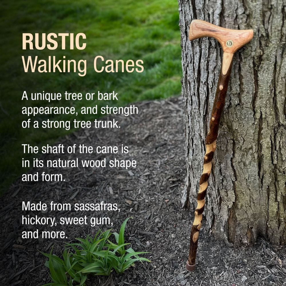 Rustic walking cane leaning against a tree with descriptive text about its features.