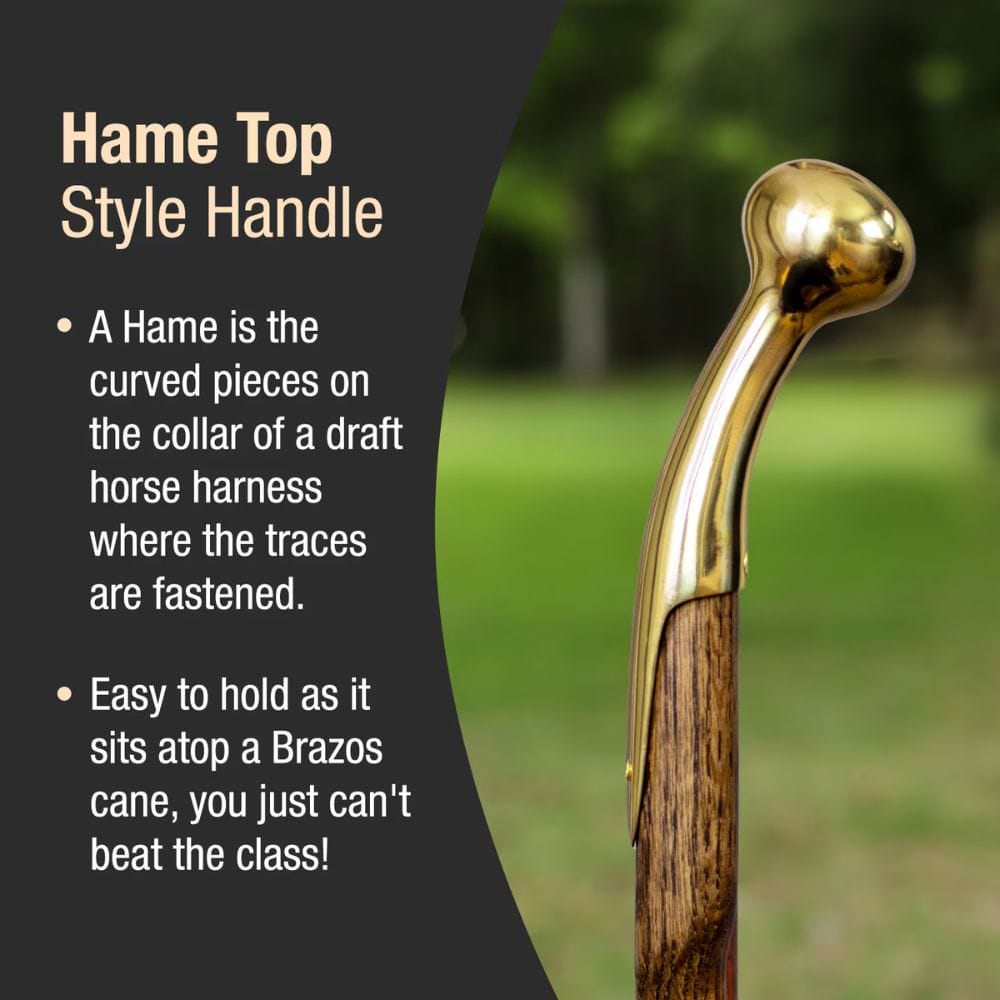 Gold Hame Top Style Handle on a Brazos cane with text explaining its use.