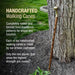 Handcrafted walking cane leaning against a tree with promotional text about its traditional craftsmanship.