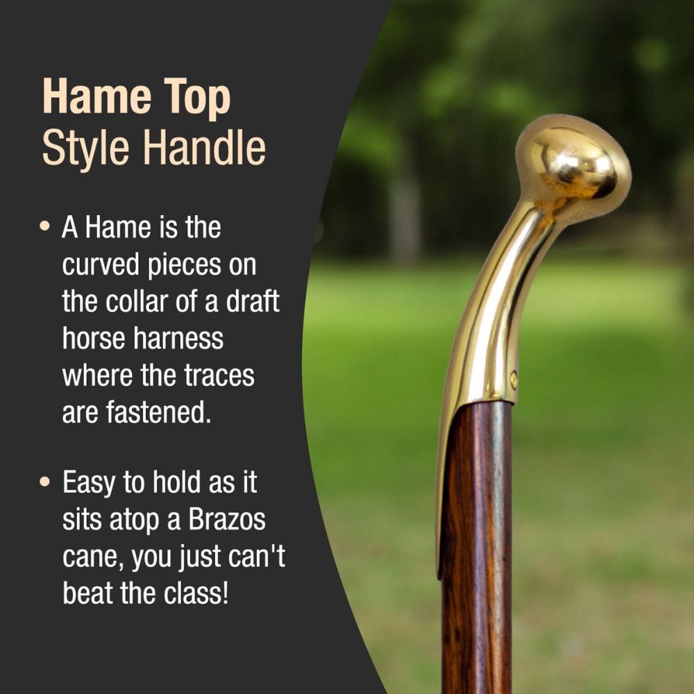 Cane with gold top handle on a blurred green background