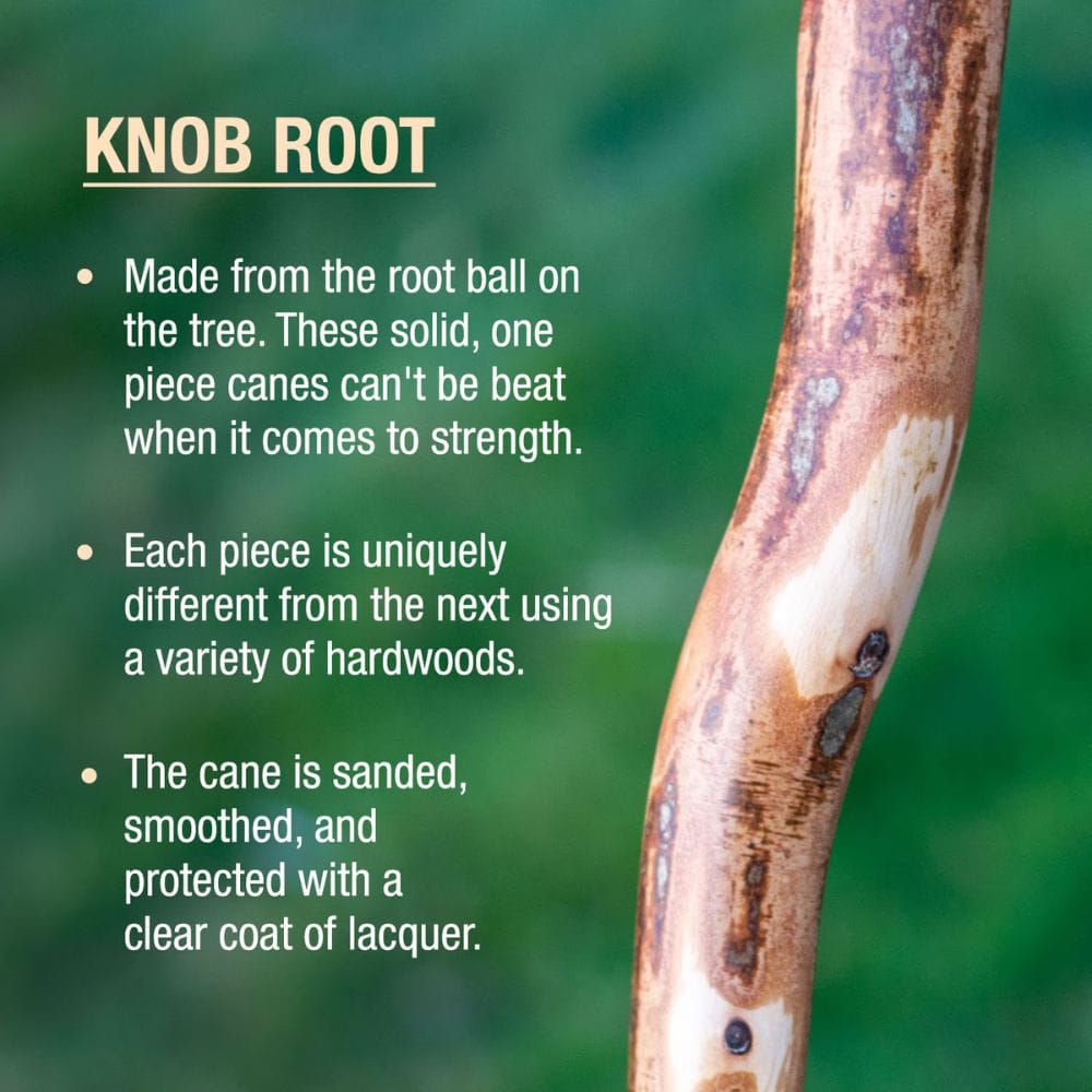 Knob root cane with descriptive text on a blurred green background