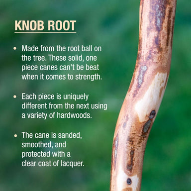 Knob root cane with descriptive text on a blurred green background