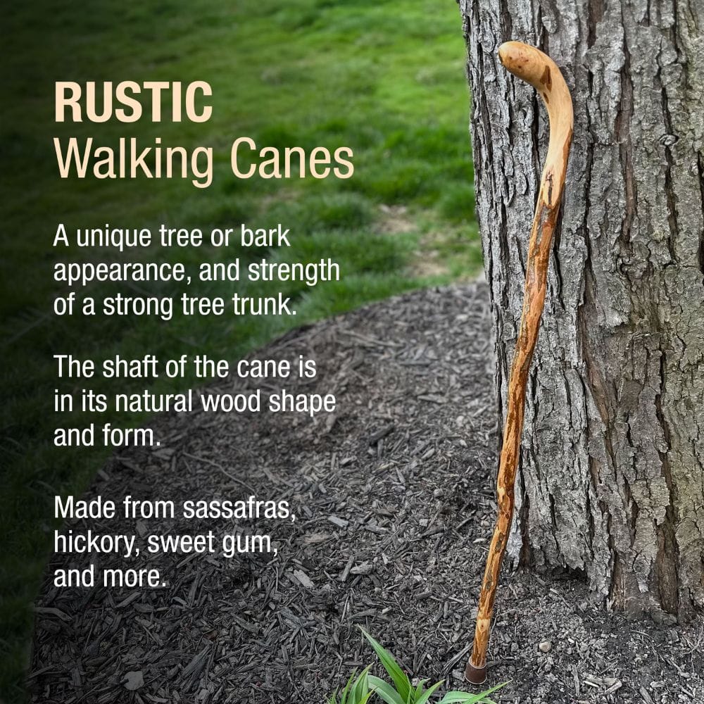 Rustic walking cane leaning against a tree with descriptive text about its features.