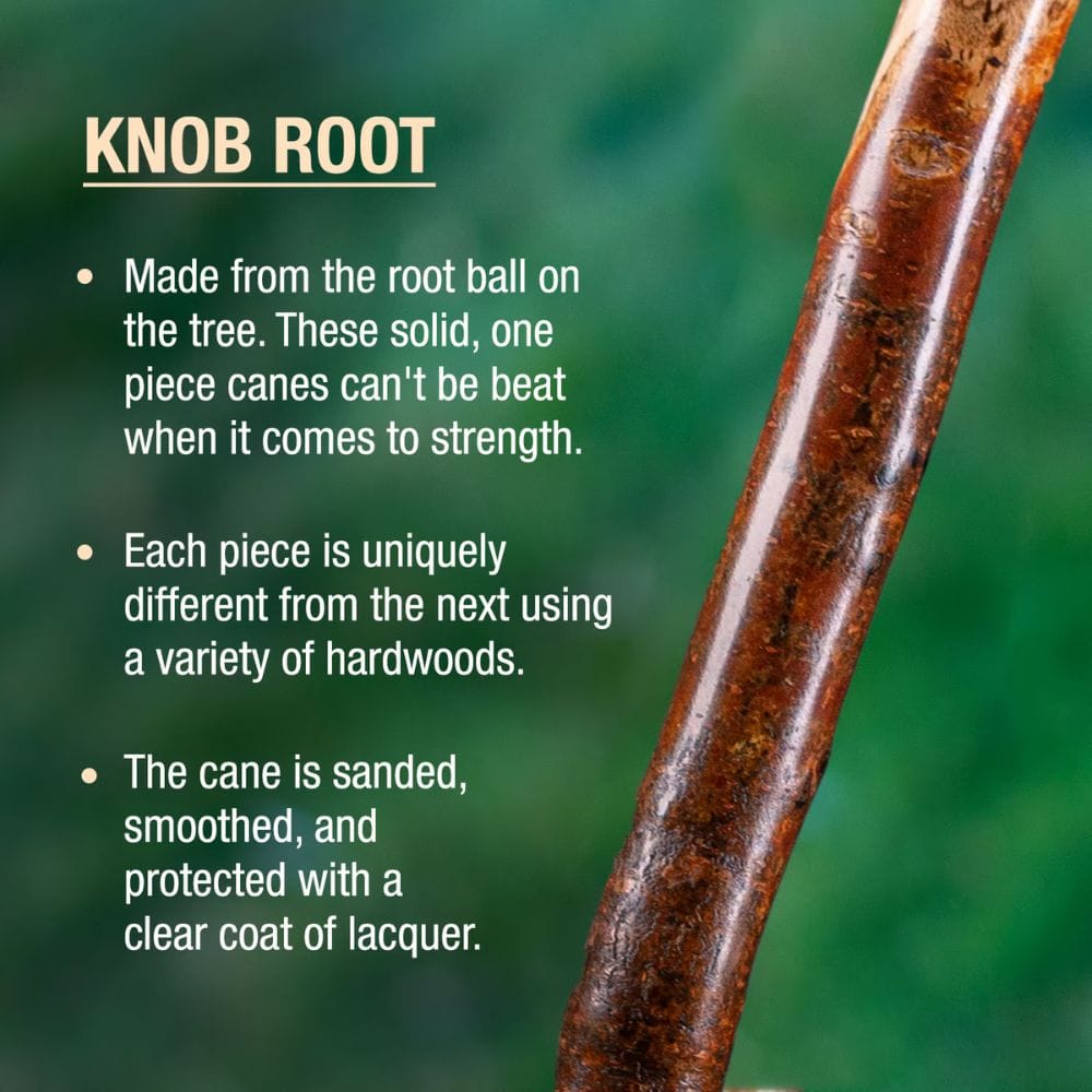 Knob root cane with descriptive text on a green background