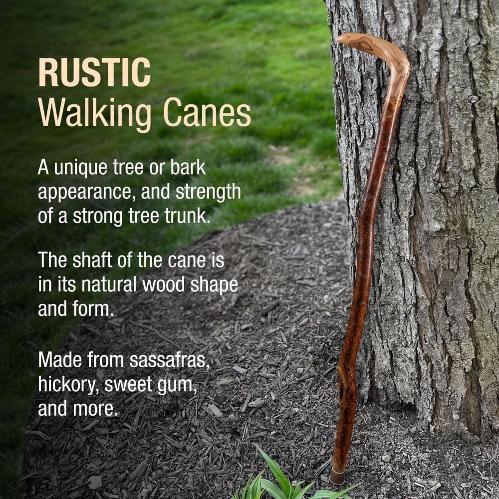 Rustic walking cane leaning against a tree with descriptive text about its features.