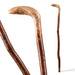 Two wooden walking canes on a white background