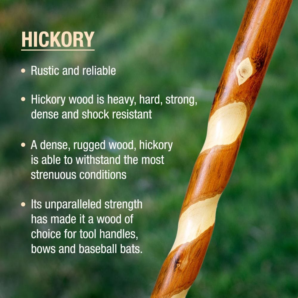 Hickory stick with text about its properties on a blurred green background