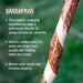 Sassafras branch with text describing its characteristics