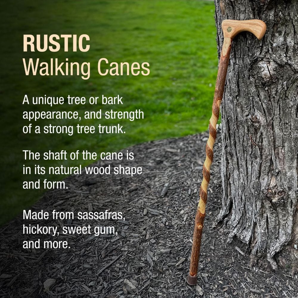 Rustic walking cane leaning against a tree with descriptive text about its features.