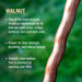 Wooden stick with text about walnut wood on a blurred green background