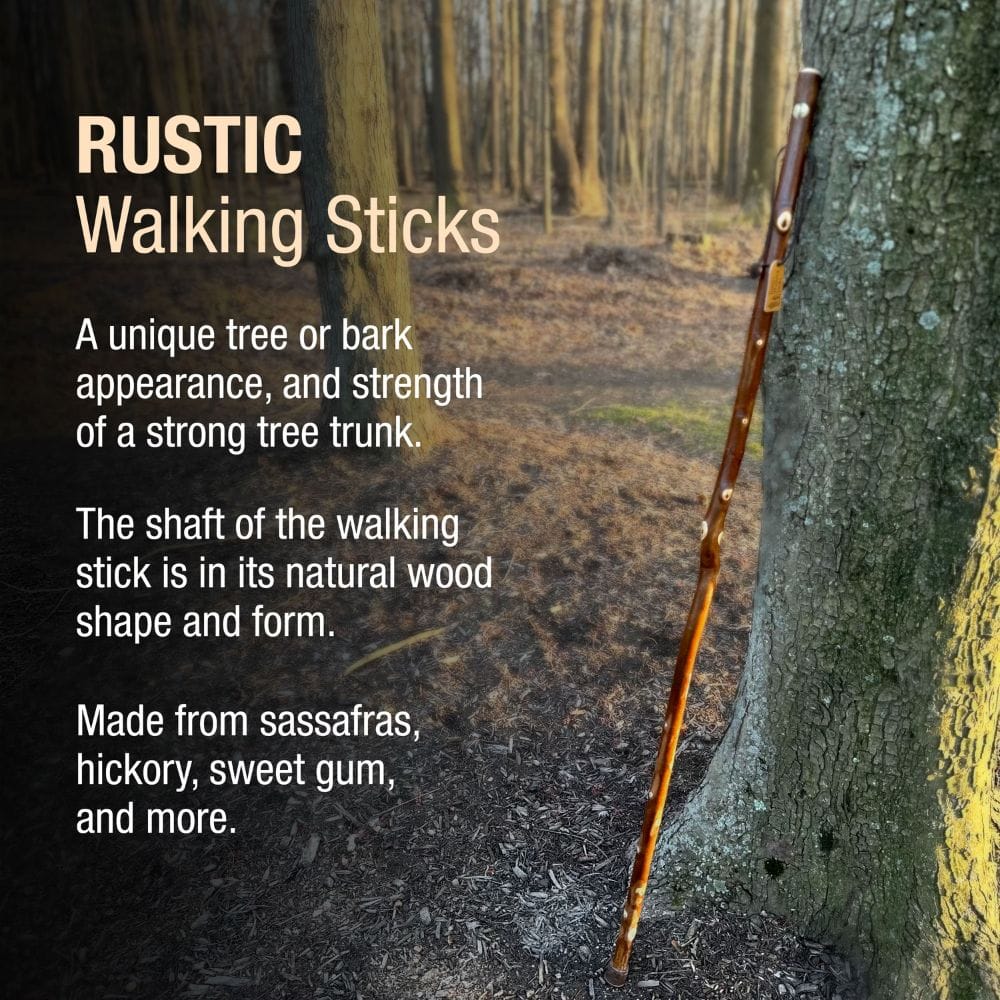 Rustic walking stick leaning against a tree in a forest setting with text about walking sticks.