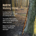 Rustic walking stick leaning against a tree in a forest setting with text about walking sticks.