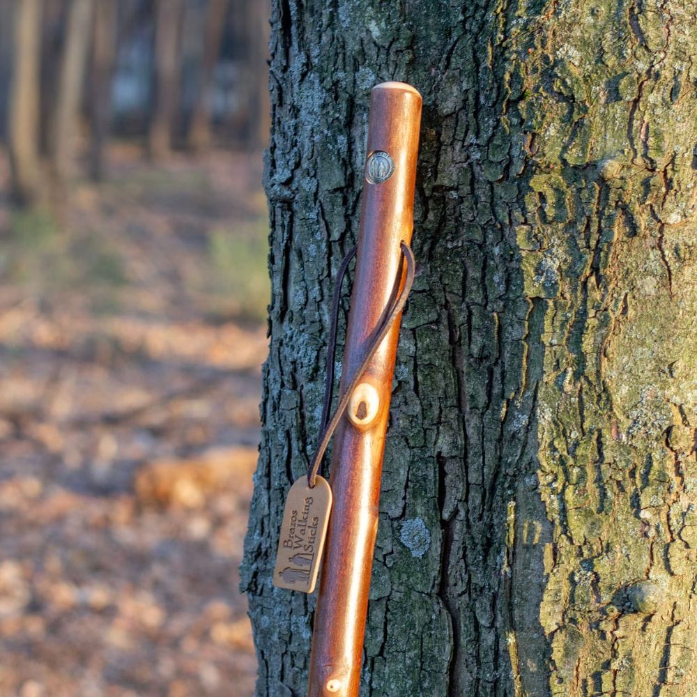 Wooden walking stick with a tag leaning against a tree in a forest setting