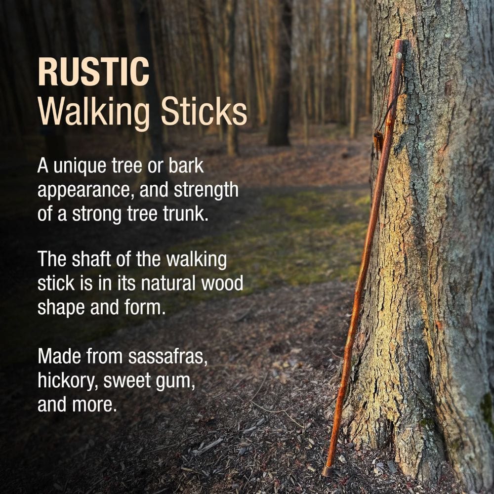 Rustic walking stick leaning against a tree in a forest setting with text describing the product.
