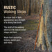 Rustic walking stick leaning against a tree in a forest setting with text describing the product.