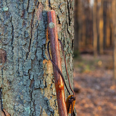 Wooden stick with a metal clip attached to a tree trunk in a forest setting