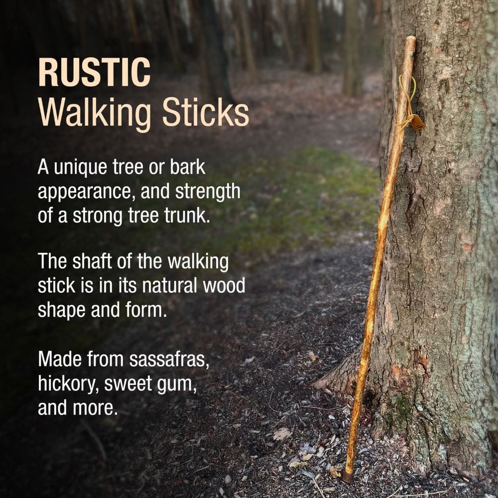 Rustic walking stick leaning against a tree in a forest setting with descriptive text.