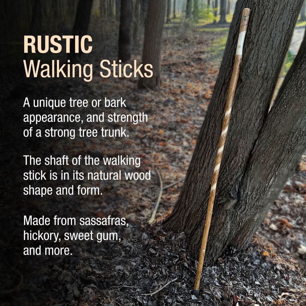 Rustic walking stick leaning against a tree in a forest setting with descriptive text.