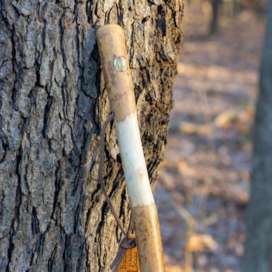 Wooden stick leaning against a tree trunk with a blurred natural background