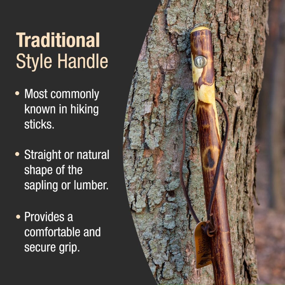 Traditional style handle on a hiking stick against a tree trunk