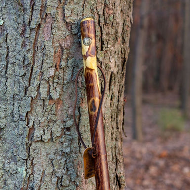 Wooden stick with a metal clip attached to a tree in a forest setting