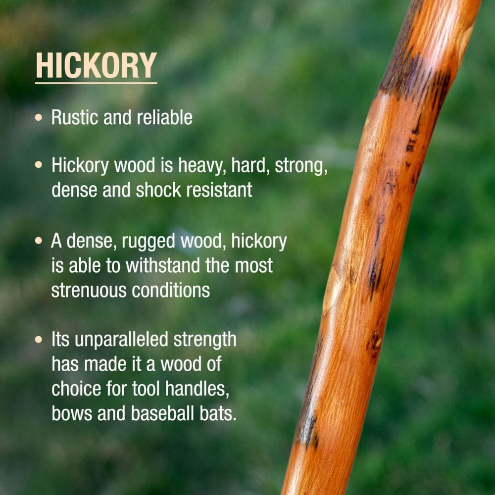 Hickory stick with text about its properties on a blurred green background