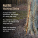 Rustic walking stick leaning against a tree with descriptive text about its characteristics.