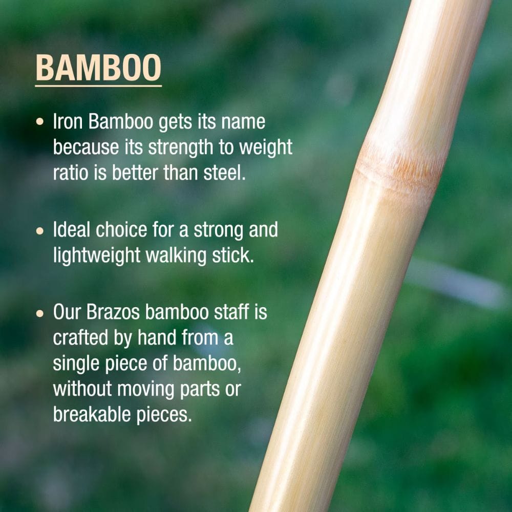 Bamboo walking stick with text about its properties on a blurred green background