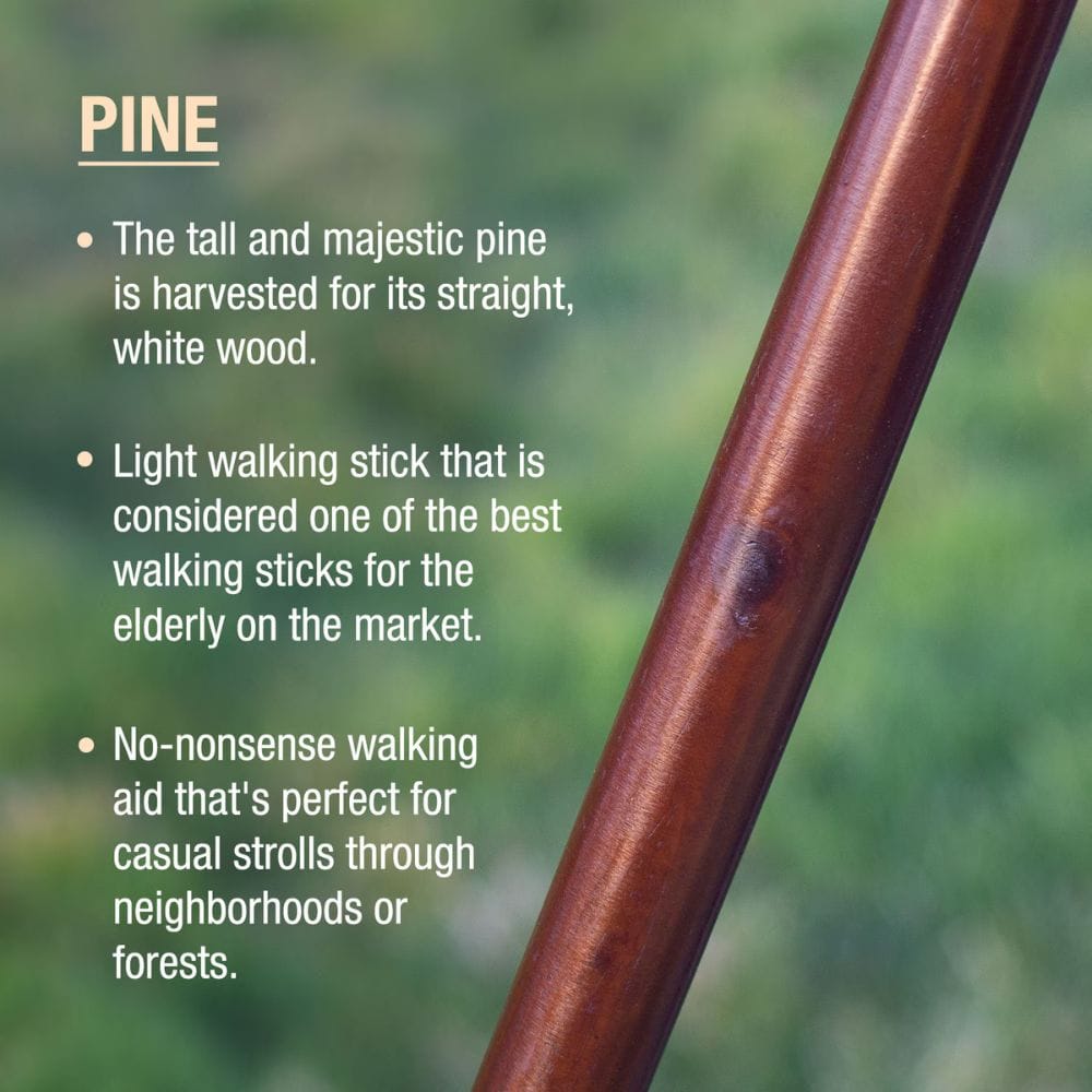 Wooden walking stick with text about pine wood and its uses