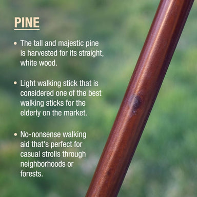 Wooden walking stick with text about pine wood and its uses