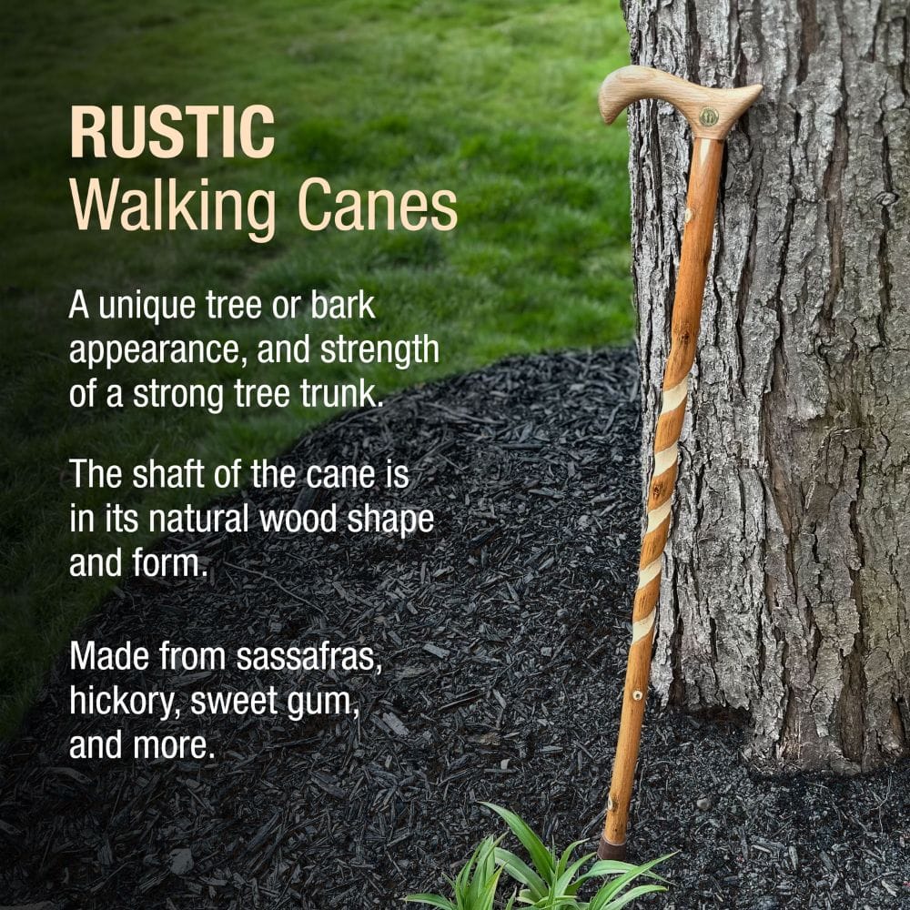 Rustic walking cane leaning against a tree with descriptive text about its features.