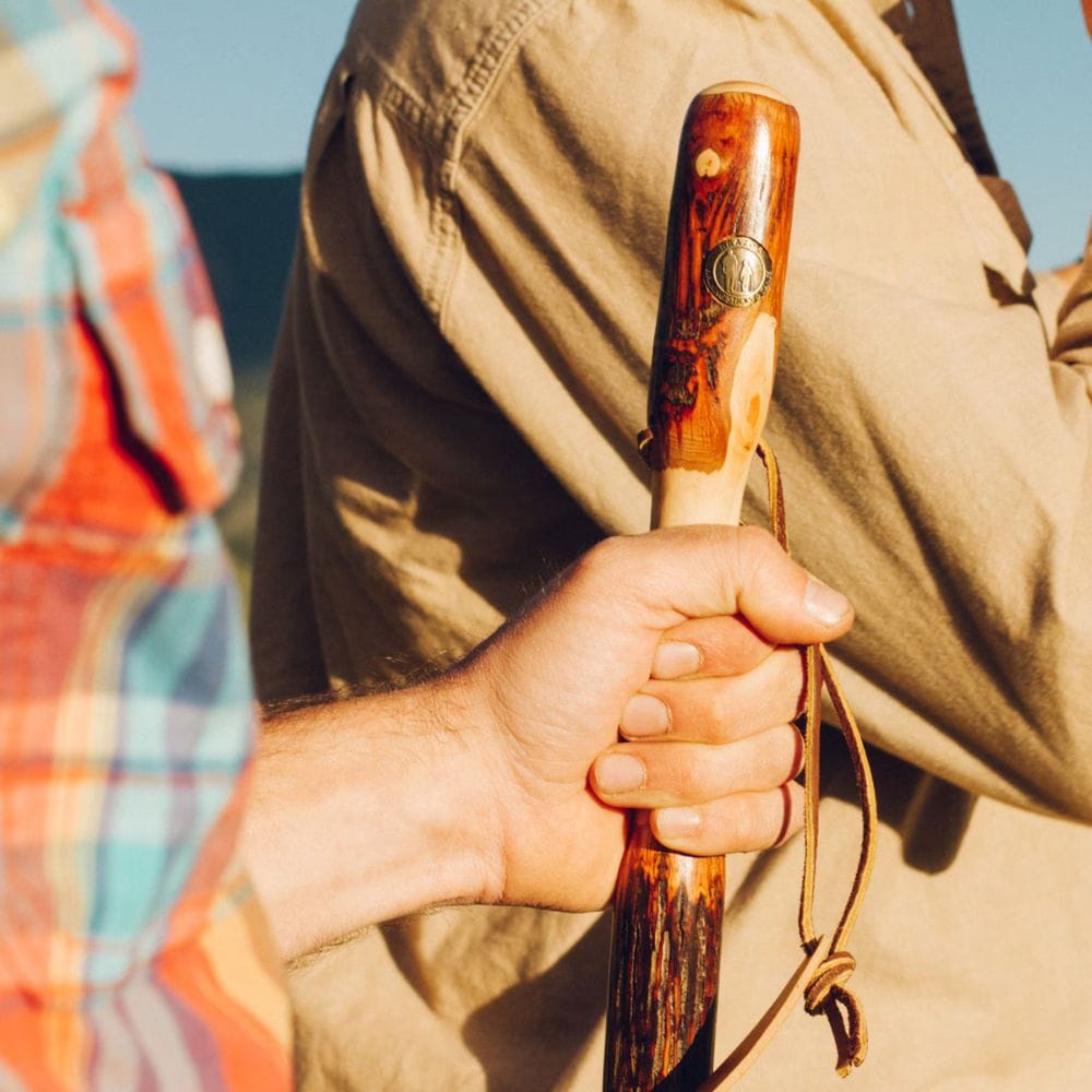 Hand holding a wooden walking stick with a blurred background