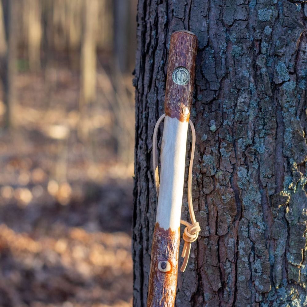Brazos Twisted Sassafras Walking Stick