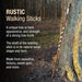 Rustic walking stick leaning against a tree with descriptive text about its characteristics.