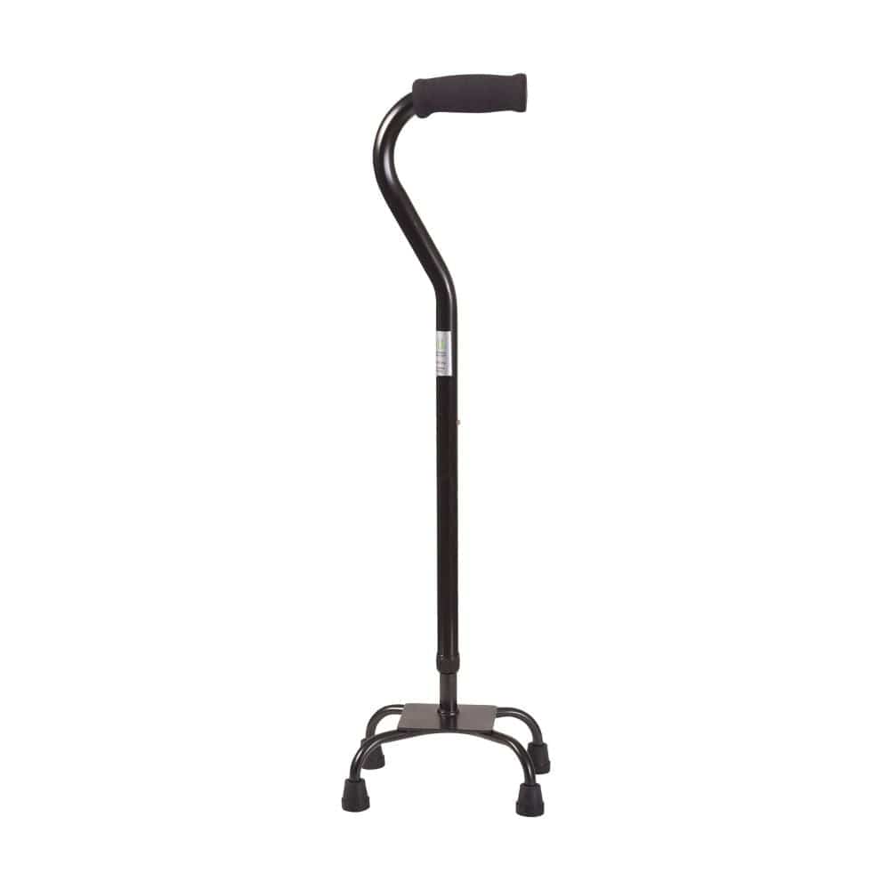 Black walking cane on a white background