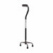Black cane with adjustable handle on a white background