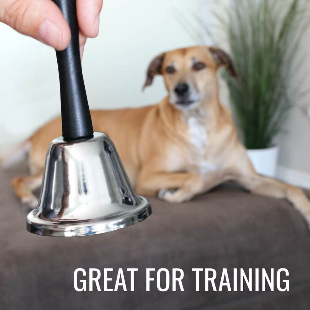 Dog sitting on a couch with a hand holding a bell above it, text 'GREAT FOR TRAINING' displayed.