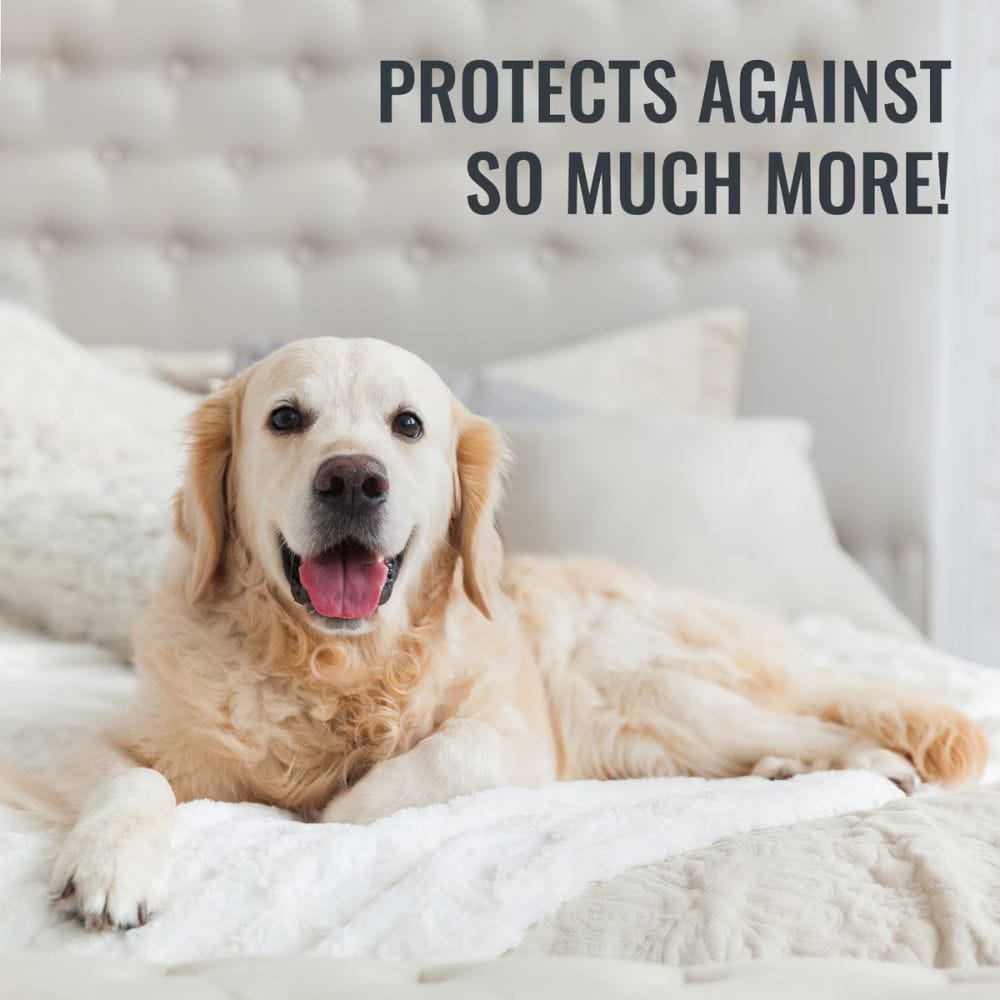 Dog lying on a soft surface with text 'PROTECTS AGAINST SO MUCH MORE!' in the background