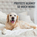 Dog lying on a soft surface with text 'PROTECTS AGAINST SO MUCH MORE!' in the background
