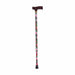 Cane with floral-patterned handle on a white background