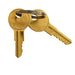 Two gold keys on a keychain against a white background