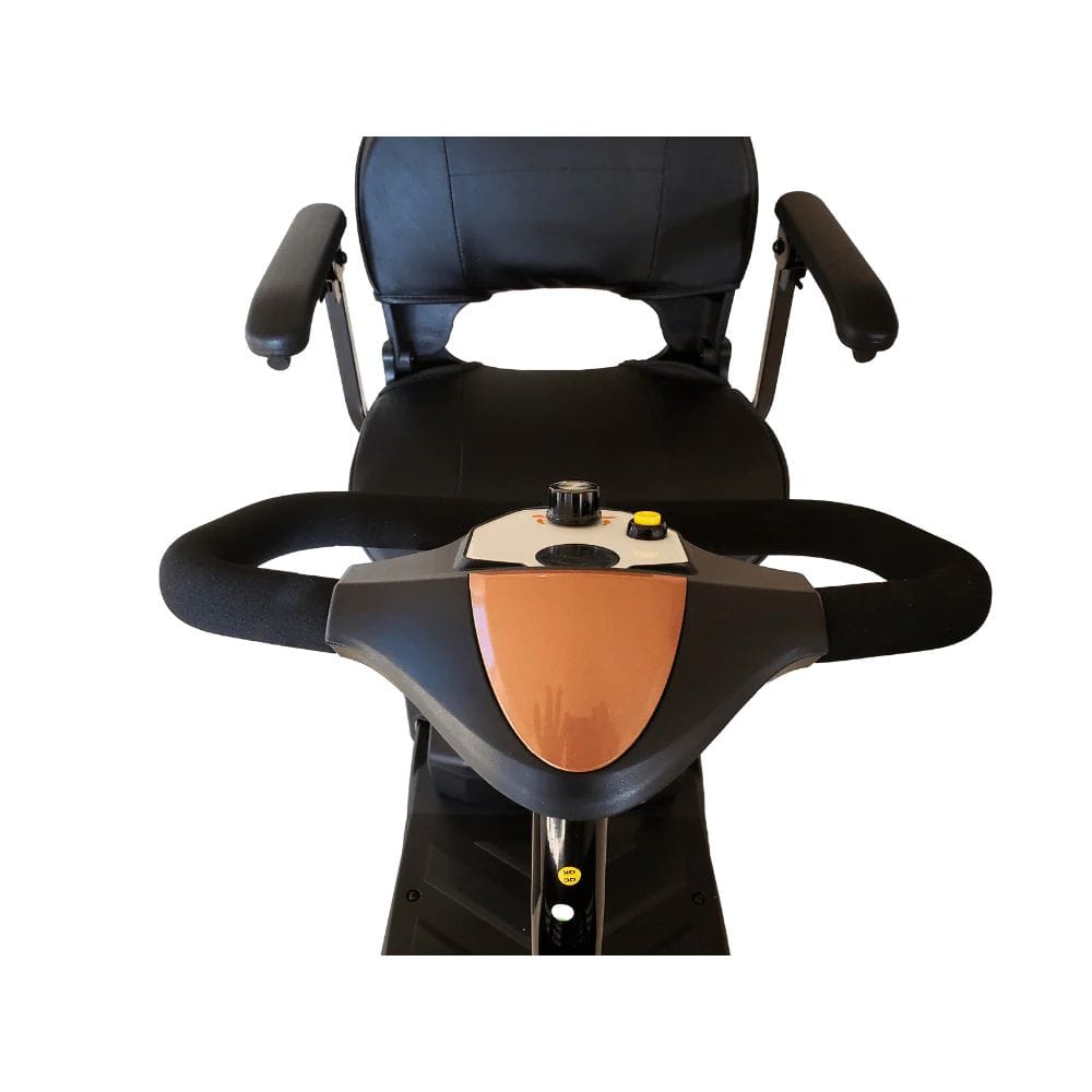 EV Rider MiniRider Lite