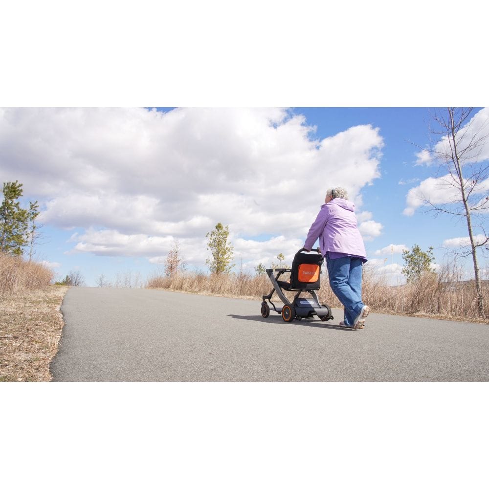 Person pushing a stroller on a paved path with a clear sky and trees in the background