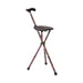 Colorful walking stick with a seat on a white background