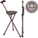 2-in-1 walking cane with seat on a white background