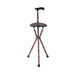 Cane with attached stool on a white background