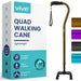 Vive Quad Walking Cane with packaging on a white background