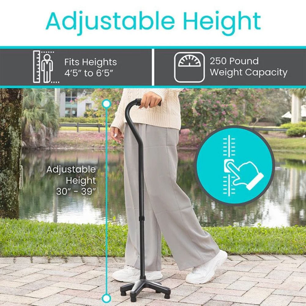 Person using an adjustable height walking stick with scenic background
