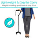 Person holding a black cane with text about its weight and ease of carrying.