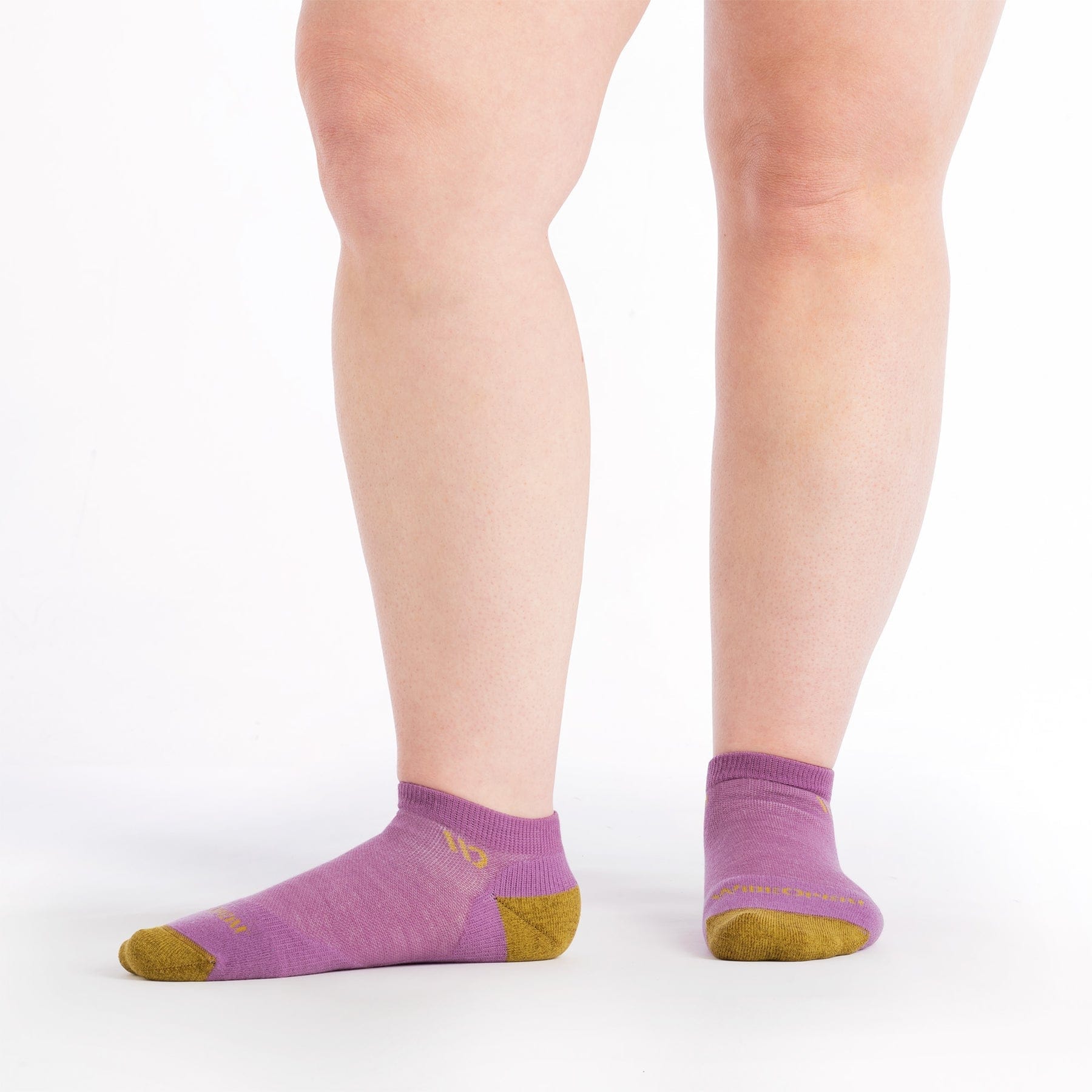 Wide Open Women's Solid Cushioned No Show Socks